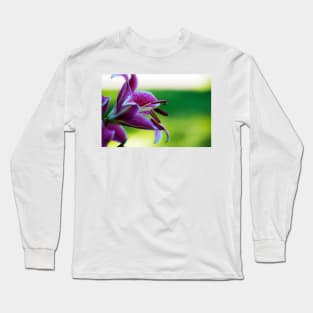 transcendent desire Long Sleeve T-Shirt